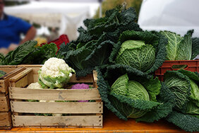 Festa dell'agricoltura