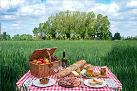 Picnic sui prati Picnic sui prati